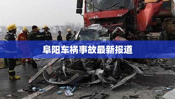 阜陽車禍事故最新報道