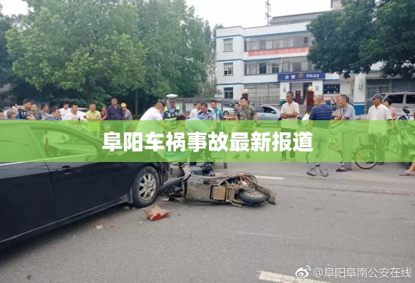 阜陽車禍事故最新報道