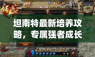 坦南特最新培養攻略,專屬強者成長之路揭秘