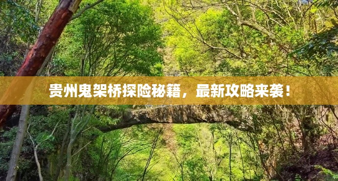 貴州鬼架橋探險秘籍,最新攻略來襲!