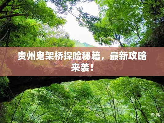 貴州鬼架橋探險秘籍,最新攻略來襲!
