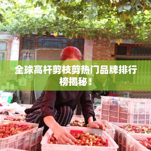 全球高桿剪枝剪熱門品牌排行榜揭秘!