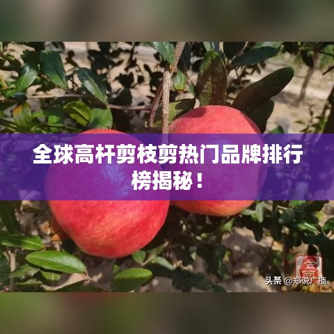 全球高桿剪枝剪熱門品牌排行榜揭秘!