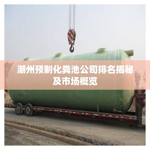 潮州預制化糞池公司排名揭秘及市場概覽