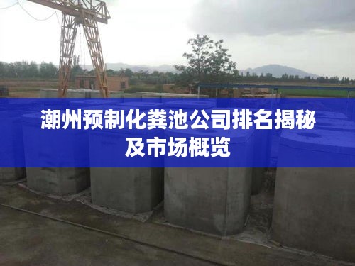 潮州預制化糞池公司排名揭秘及市場概覽