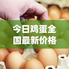 今日雞蛋全國最新價格走勢分析及未來展望