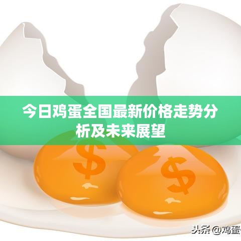 今日雞蛋全國最新價格走勢分析及未來展望