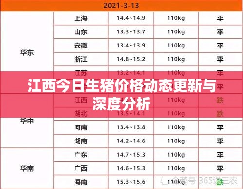 江西今日生豬價格動態更新與深度分析