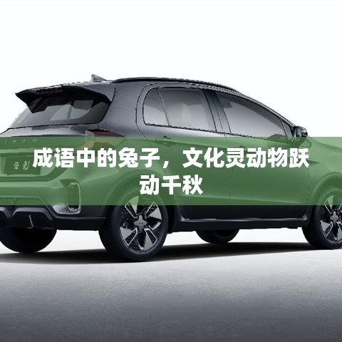 成語中的兔子，文化靈動物躍動千秋