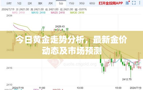 今日黃金走勢分析,最新金價動態及市場預測