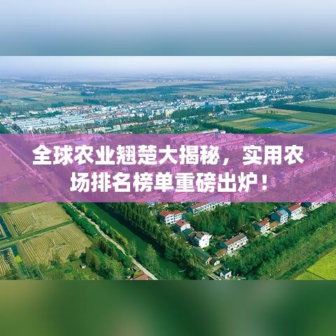 全球農業翹楚大揭秘，實用農場排名榜單重磅出爐！