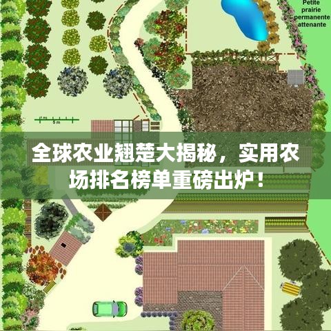 全球農業翹楚大揭秘,實用農場排名榜單重磅出爐!