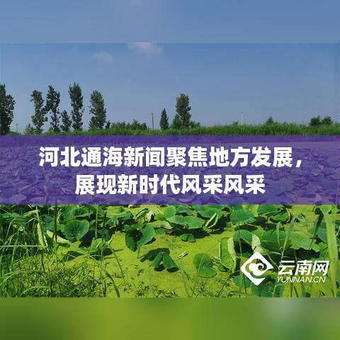 河北通海新聞聚焦地方發(fā)展，展現(xiàn)新時代風采風采