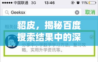 貂皮,揭秘百度搜索結果中的深度解讀