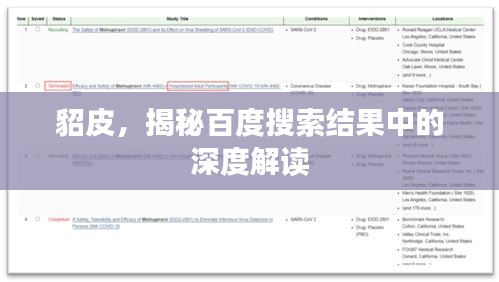 貂皮,揭秘百度搜索結果中的深度解讀