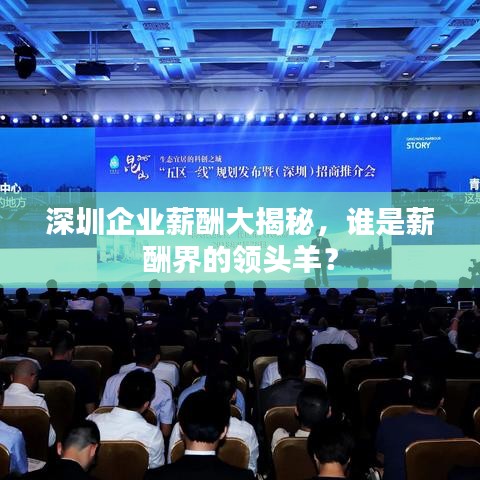 深圳企業薪酬大揭秘,誰是薪酬界的領頭羊?