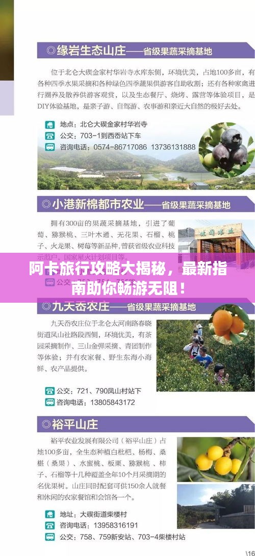 阿卡旅行攻略大揭秘,最新指南助你暢游無阻!