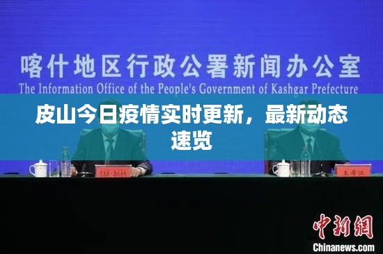 皮山今日疫情實時更新,最新動態速覽