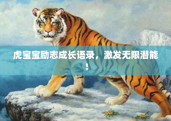 虎寶寶勵志成長語錄，激發無限潛能！