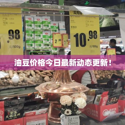 油豆價格今日最新動態更新!