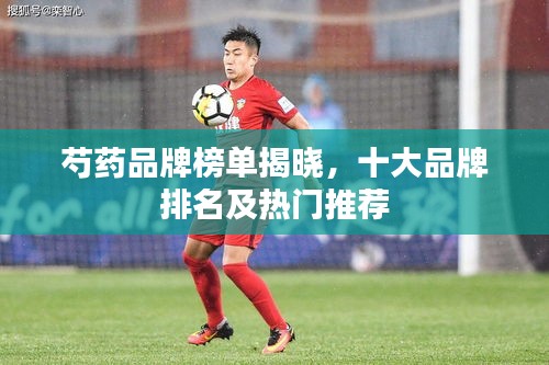 芍藥品牌榜單揭曉,十大品牌排名及熱門推薦