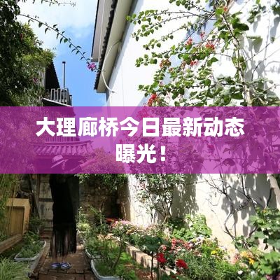 大理廊橋今日最新動態(tài)曝光!