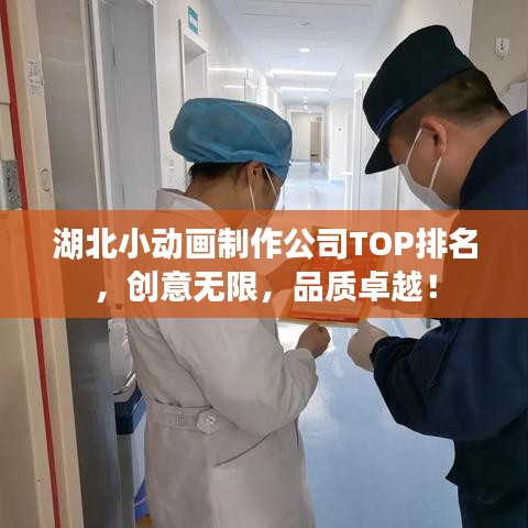 湖北小動(dòng)畫制作公司TOP排名,創(chuàng)意無限,品質(zhì)卓越!