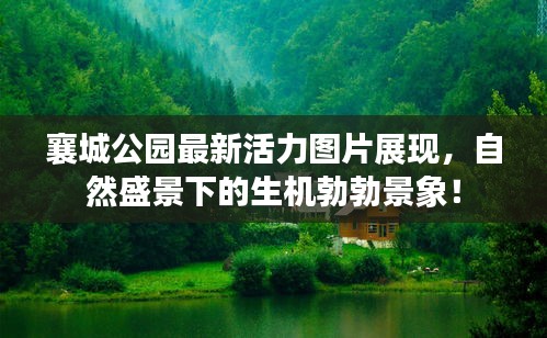襄城公園最新活力圖片展現(xiàn),自然盛景下的生機勃勃景象!