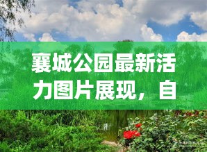 襄城公園最新活力圖片展現(xiàn),自然盛景下的生機(jī)勃勃景象!