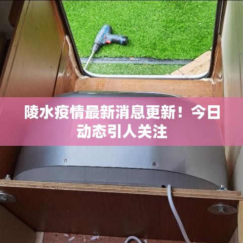 陵水疫情最新消息更新!今日動態引人關注