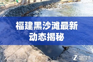 衣不重彩 第3頁