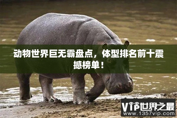 動物世界巨無霸盤點,體型排名前十震撼榜單!