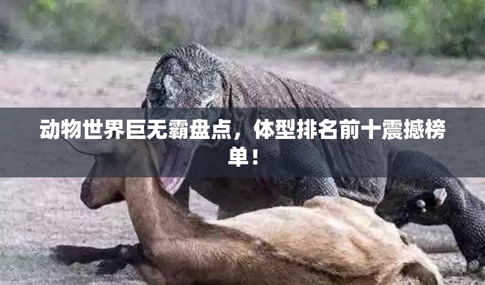 動物世界巨無霸盤點,體型排名前十震撼榜單!