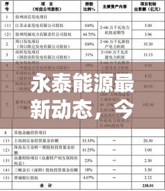 永泰能源最新動態(tài),今日新聞報道更新匯總