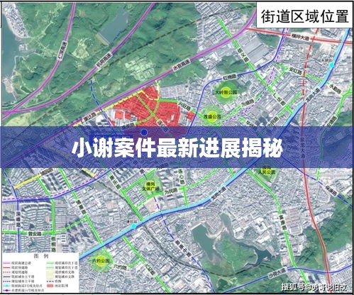 小謝案件最新進(jìn)展揭秘