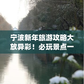 寧波新年旅游攻略大放異彩!必玩景點一網打盡!