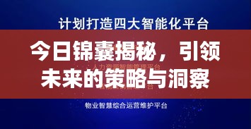 今日錦囊揭秘，引領(lǐng)未來的策略與洞察最新消息