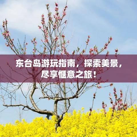 東臺島游玩指南，探索美景，盡享愜意之旅！