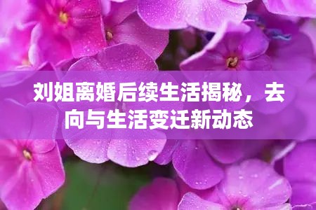 劉姐離婚后續生活揭秘,去向與生活變遷新動態