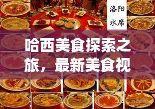哈西美食探索之旅,最新美食視頻播放網(wǎng)站,啟程味蕾盛宴!