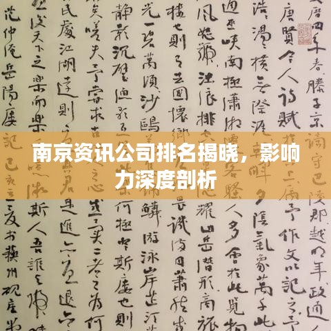 南京資訊公司排名揭曉,影響力深度剖析