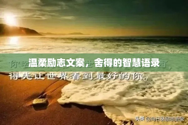 溫柔勵志文案,舍得的智慧語錄