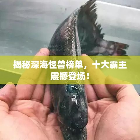 揭秘深海怪獸榜單，十大霸主震撼登場！