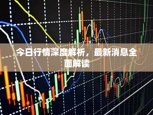 今日行情深度解析，最新消息全面解讀