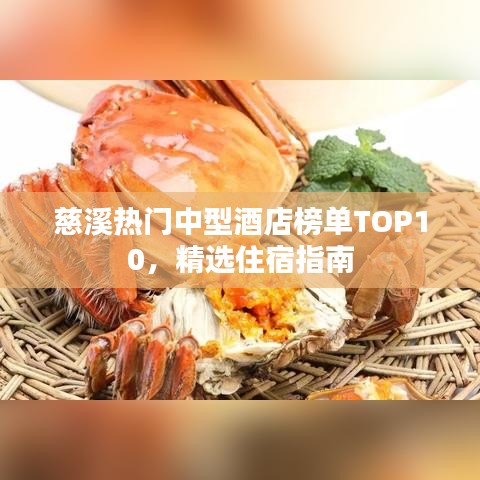 慈溪熱門中型酒店榜單TOP10,精選住宿指南