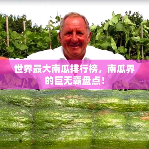 世界最大南瓜排行榜，南瓜界的巨無霸盤點！