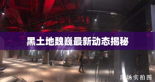 黑土地魏巍最新動態揭秘