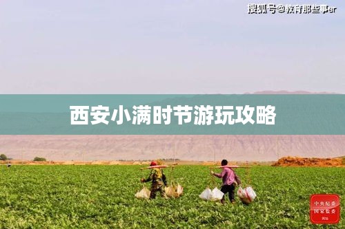 西安小滿時節游玩攻略