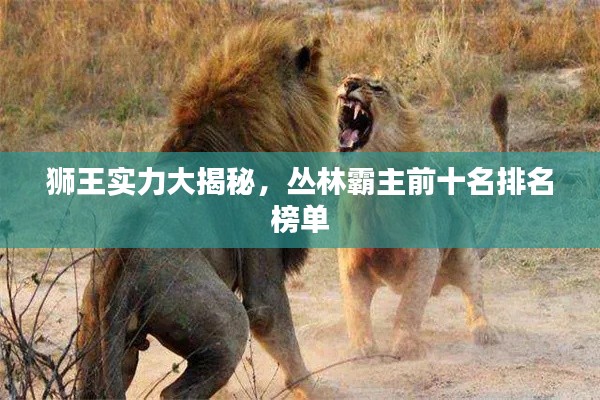 獅王實力大揭秘,叢林霸主前十名排名榜單