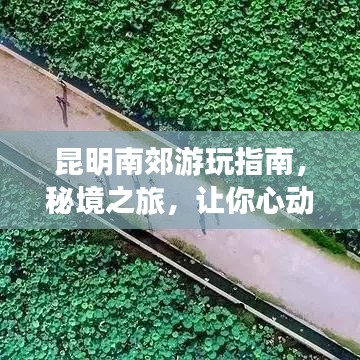 昆明南郊游玩指南,秘境之旅,讓你心動不已!